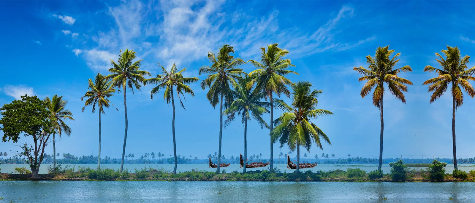 Backwater Front Premium Resorts in Alappuzha, Places to Stay in Alleppey