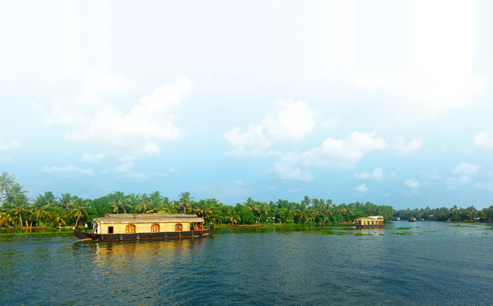 backwater resorts in alappuzha