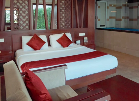 ayurveda spa in kerala