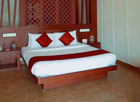 ayurvedic treatments in South India